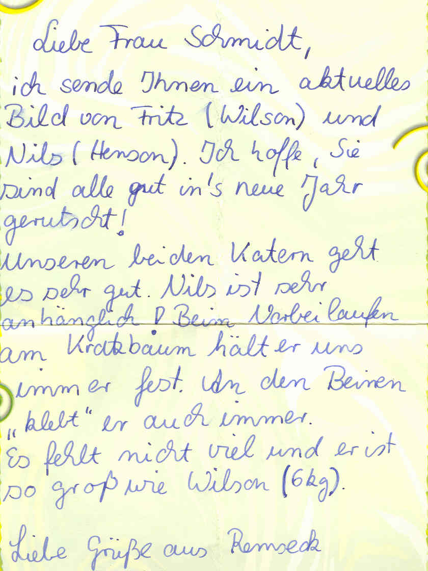 geburtstagssprüche lustig für männer